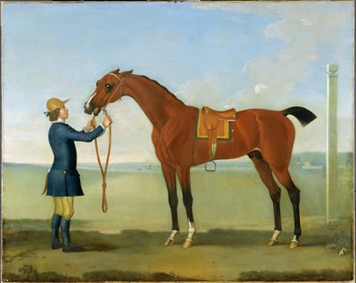 Il Flying Childers del Duca di Devonshire, 1742 da James Seymour